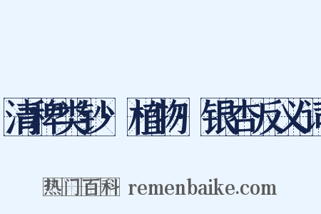 清稗类钞·植物·银杏反义词是什么意思的图片